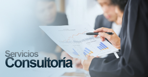 img-consultoria-500-1
